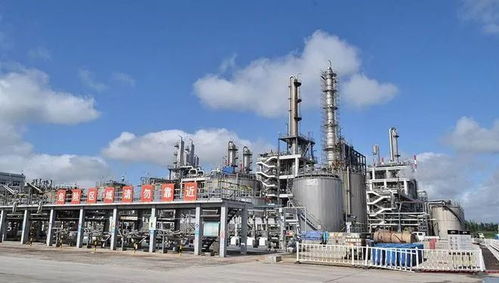 青島海灣精細化工熱電廠倉庫2.14火災事故 一般事故的警示與責任