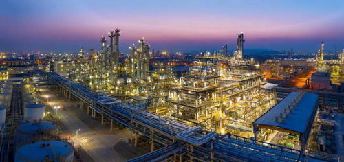 寧波石化開發區延鏈強鏈顯成效 一企業產品榮獲國家制造業單項冠軍